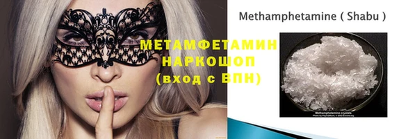 шишки Белокуриха