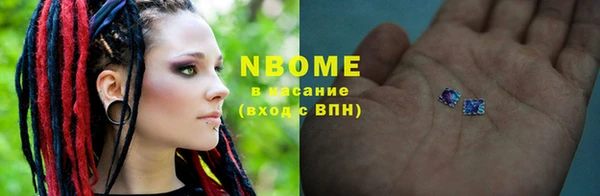 шишки Белокуриха