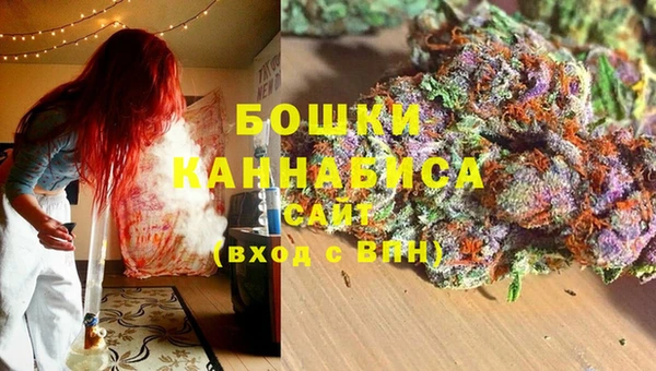 шишки Белокуриха