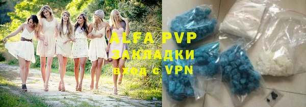 шишки Белокуриха
