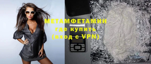 шишки Белокуриха