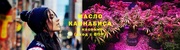 шишки Белокуриха