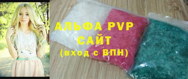 шишки Белокуриха