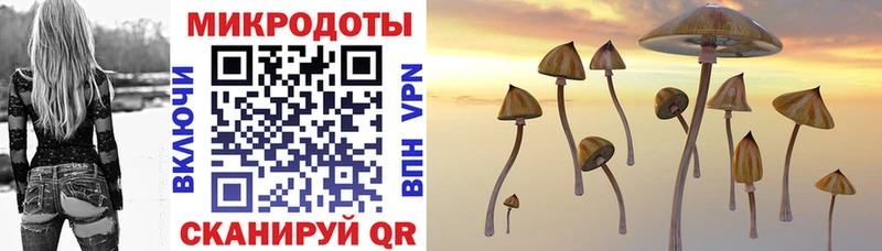 как найти наркотики  Чишмы  Псилоцибиновые грибы прущие грибы 